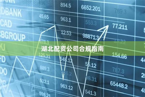湖北配资公司合规指南